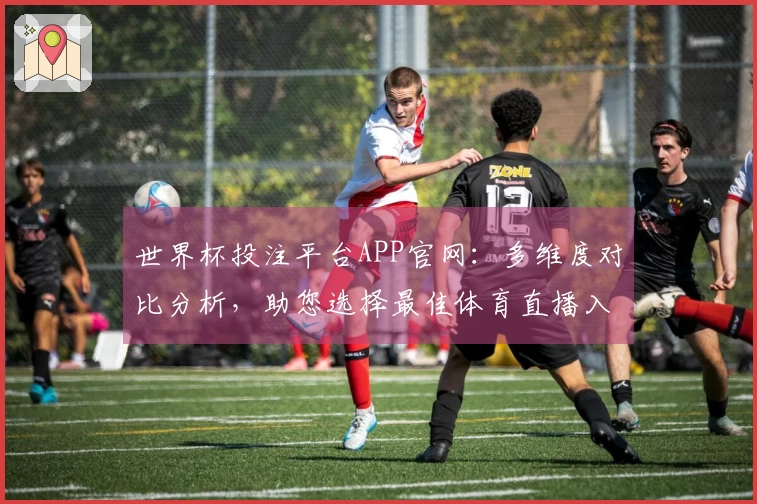 世界杯投注平台APP官网：多维度对比分析，助您选择最佳体育直播入口与体验