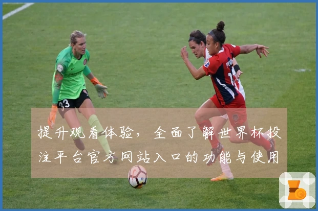 提升观看体验，全面了解世界杯投注平台官方网站入口的功能与使用指南