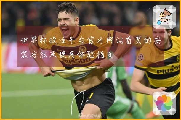 世界杯投注平台官方网站首页的安装方法及使用体验指南