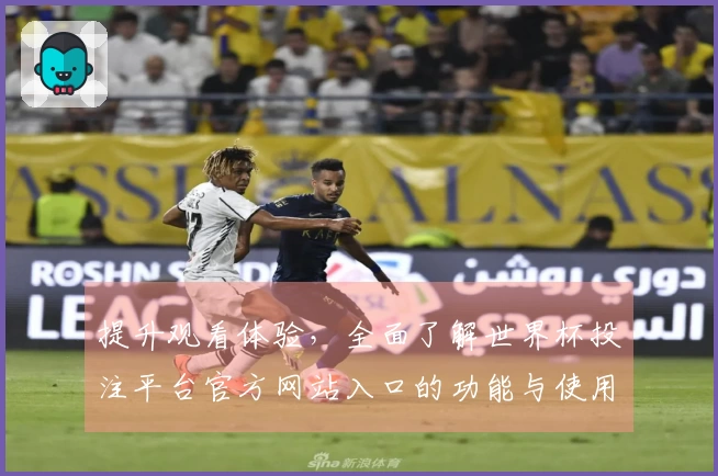 提升观看体验，全面了解世界杯投注平台官方网站入口的功能与使用指南
