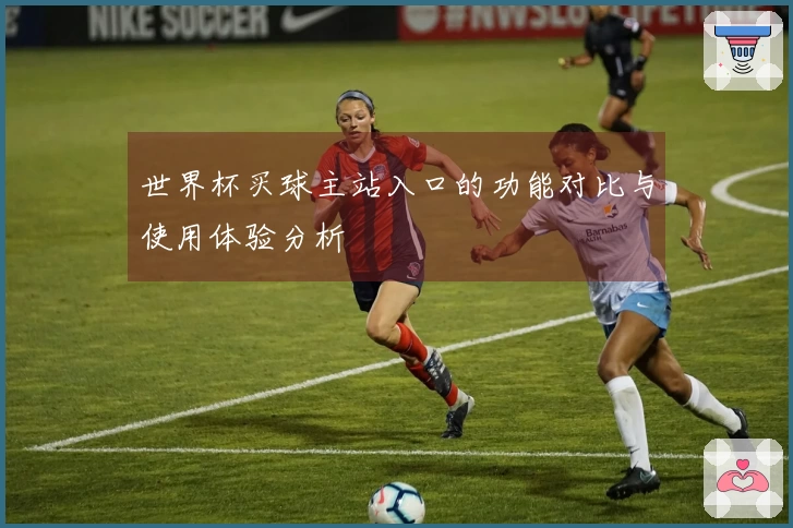 世界杯买球主站入口的功能对比与使用体验分析