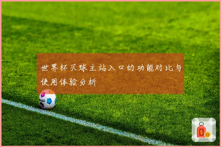 世界杯买球主站入口的功能对比与使用体验分析